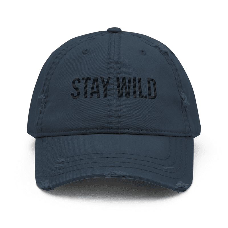 Distressed Dad Hat — Navy